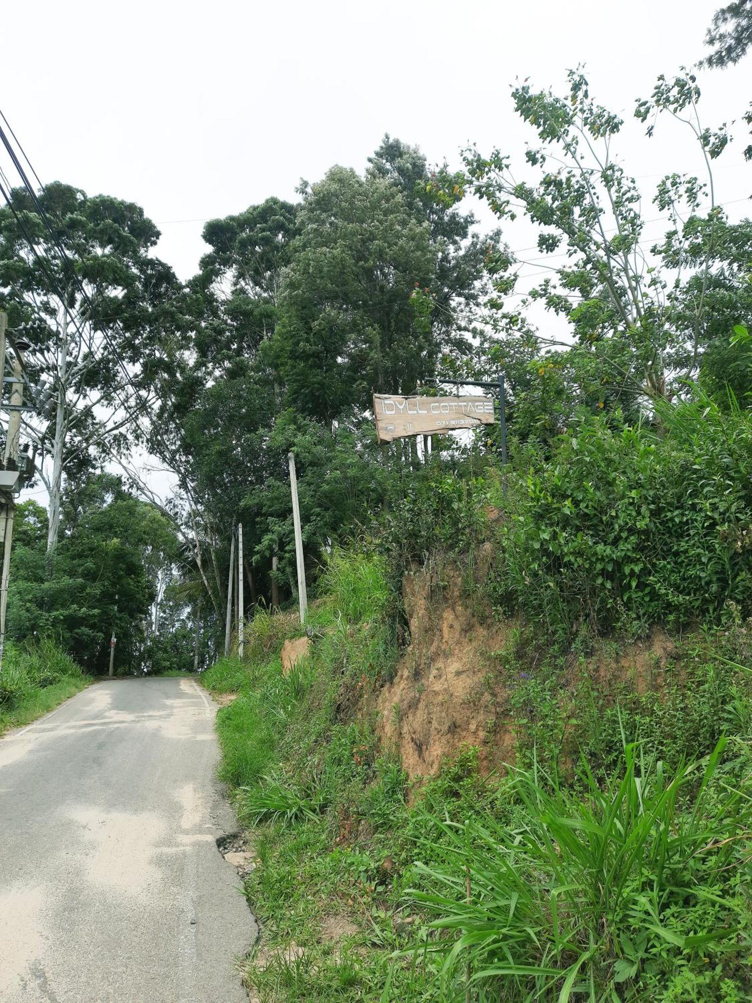 Idyll Cottage אלה מראה חיצוני תמונה